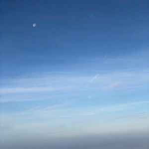 Meet your Posher, Sid